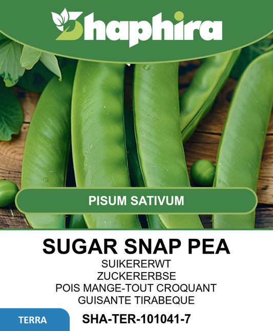 Sugar Snap Peas Kelvedon Wonder Seeds Pisum Sativum 100g